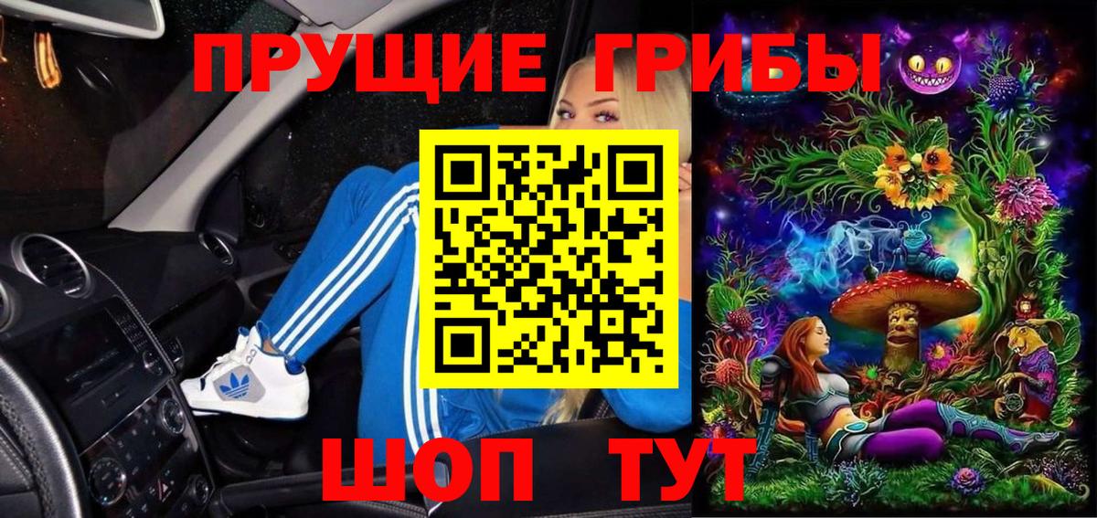 Галлюциногенные грибы мицелий  где купить наркотик  Заволжье  Псилоцибиновые грибы MAGIC MUSHROOMS  Вход с VPN 