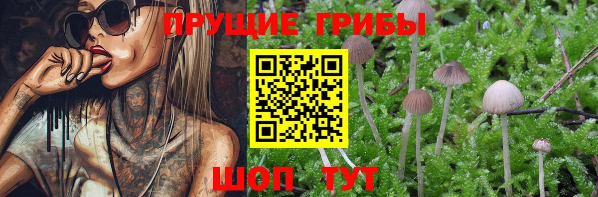 Псилоцибиновые грибы MAGIC MUSHROOMS Заволжье